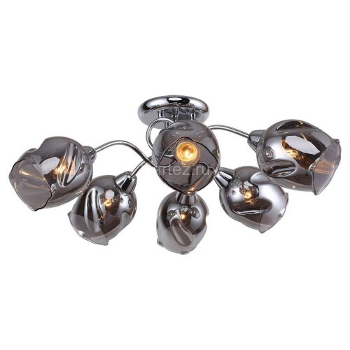 Потолочная люстра Lussole LGO GRLSP-8087