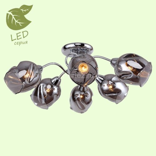 Потолочная люстра Lussole LGO GRLSP-8087