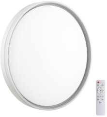 Настенно-потолочный светильник Sonex 7631/DL