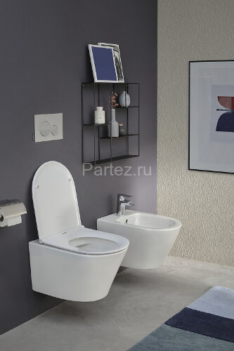 Биде подвесное Jacob Delafon Rodin+ белое (EMJ0002-00)