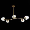 Потолочная люстра Evoluce SLE154823-05