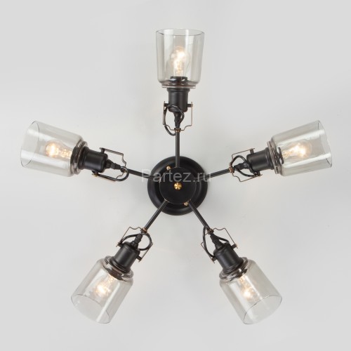 Потолочная люстра Eurosvet 70111/5 черный
