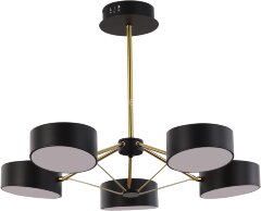 Потолочная люстра Evoluce SLE6005-402-05