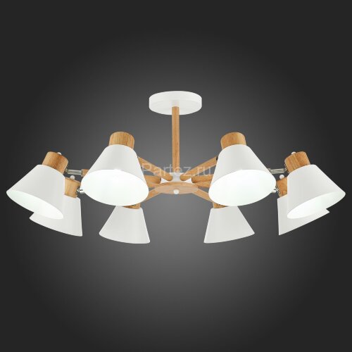 Потолочная люстра Evoluce SLE103702-08