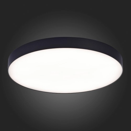 Потолочный светильник ST Luce ST606.442.96