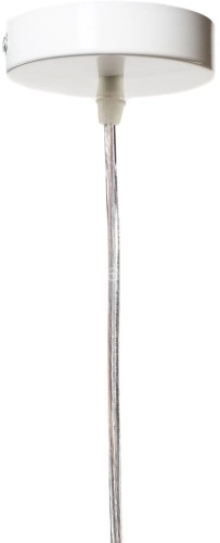 Подвесной светильник Loft It LOFT1806