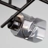 Потолочная люстра Eurosvet 30165/4 черный жемчуг