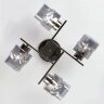 Потолочная люстра Eurosvet 30165/4 черный жемчуг
