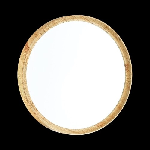 Настенно-потолочный светильник Sonex 3019/EL