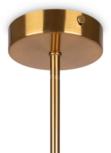 Потолочная люстра Freya FR5233PL-13BS