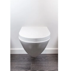 Унитаз подвесной Jaquar безободковый, микролифт, монтажный набор, 370x515x350 мм