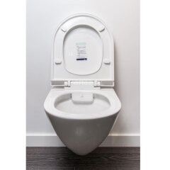 Унитаз подвесной Jaquar безободковый, микролифт, монтажный набор, 370x515x350 мм