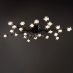 Потолочная люстра Freya FR5242CL-24B1