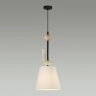 Подвесной светильник Odeon Light 5410/1
